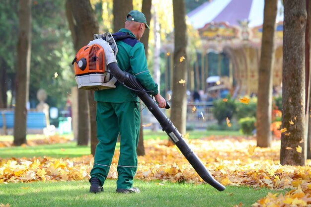 garden cleaning