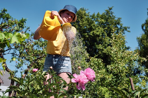 watering